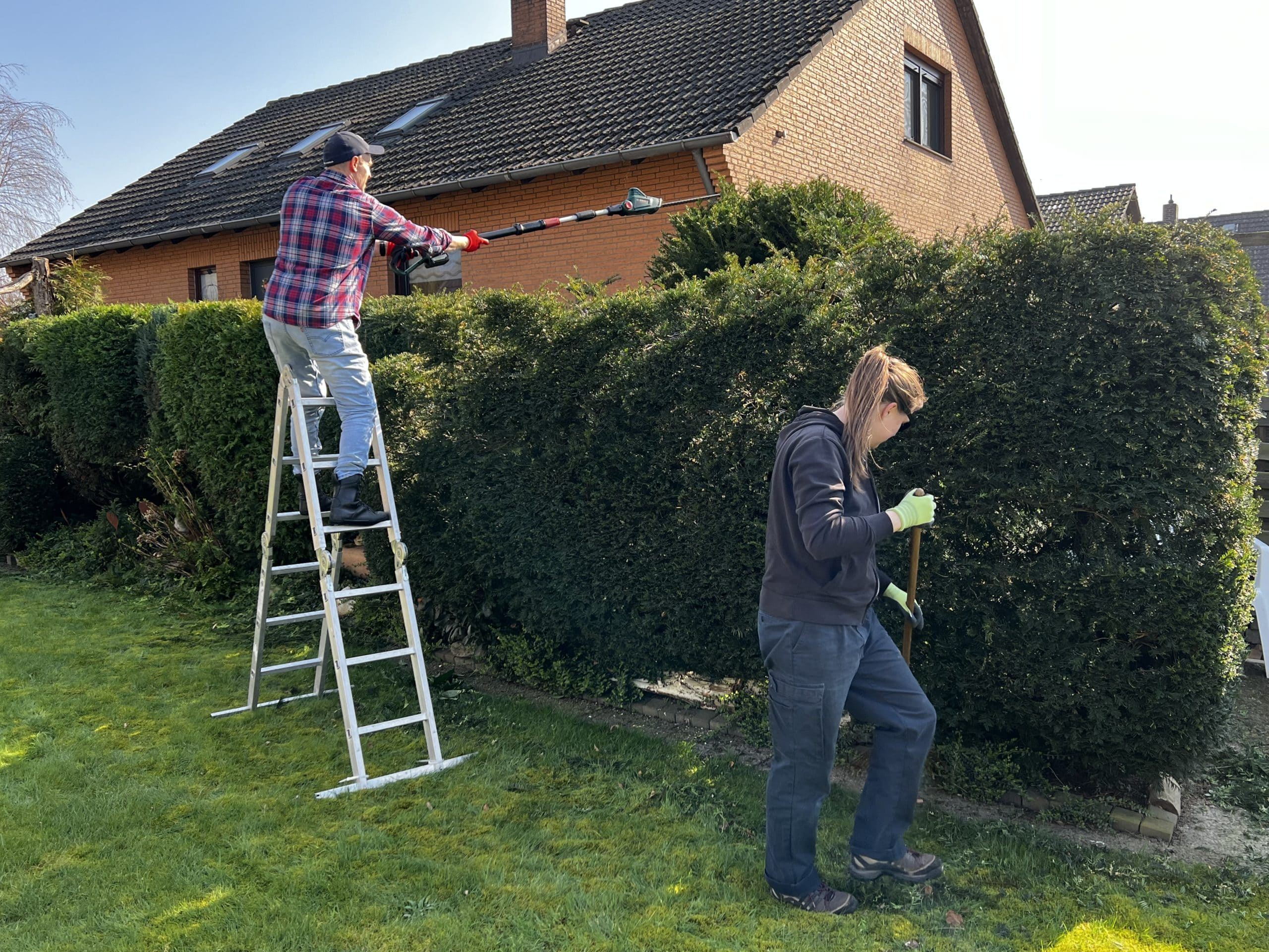 Hecken Rückschneiden